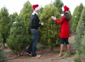 Choosing The Christmas Tree